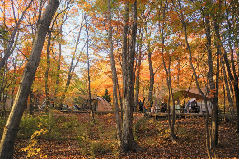 2. 那須高原キャンプ場(栃木県)
