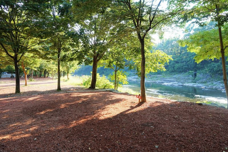 3. 長瀞オートキャンプ場(埼玉県)