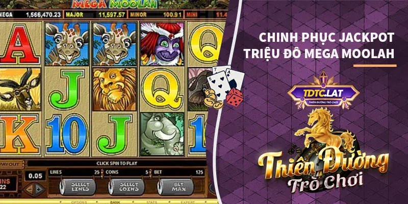 Mega Moolah: Chinh Phục Jackpot Triệu Đô Cùng TDTC